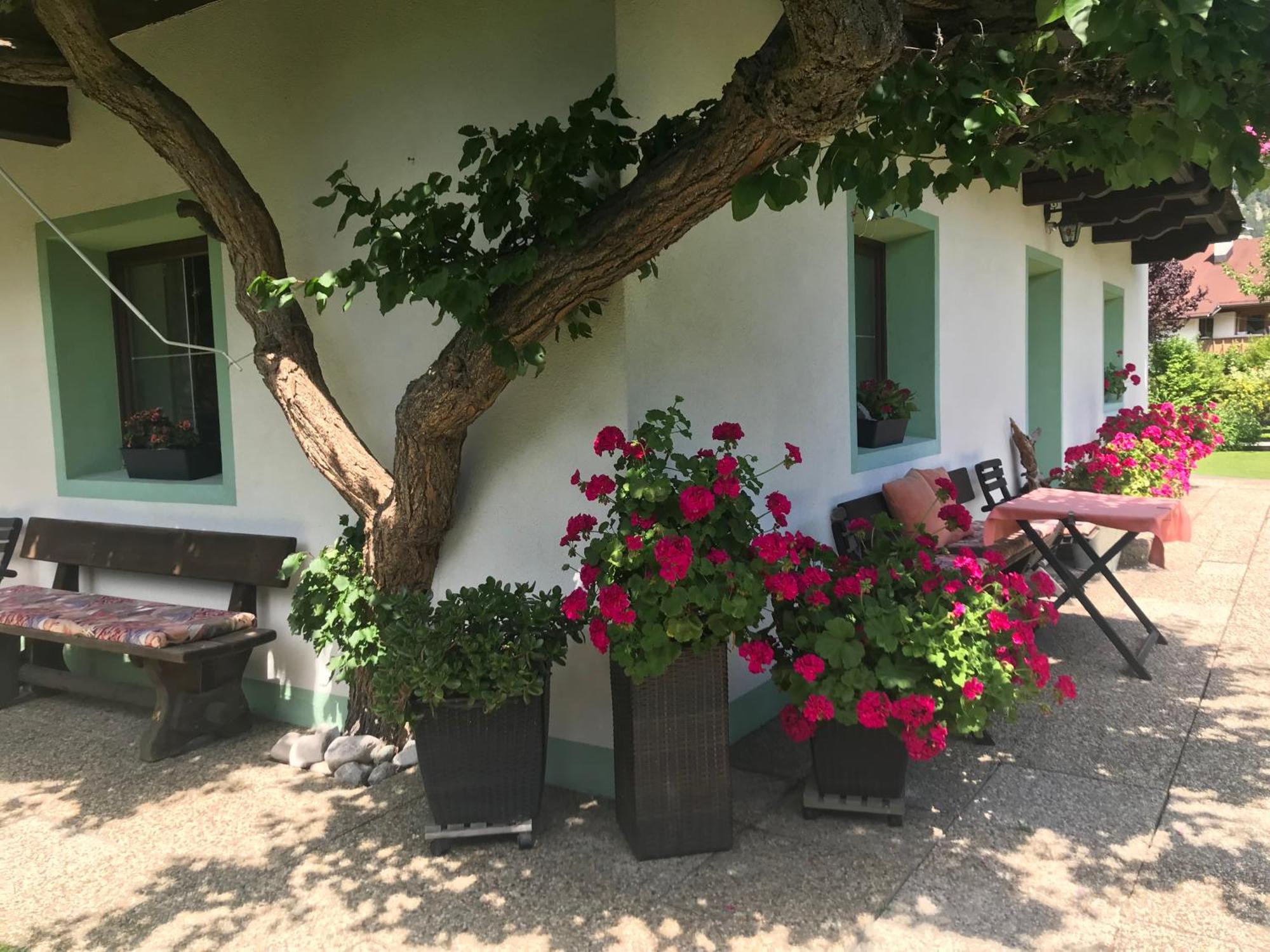 Haus Hoher Sattel Daire Leutasch Dış mekan fotoğraf