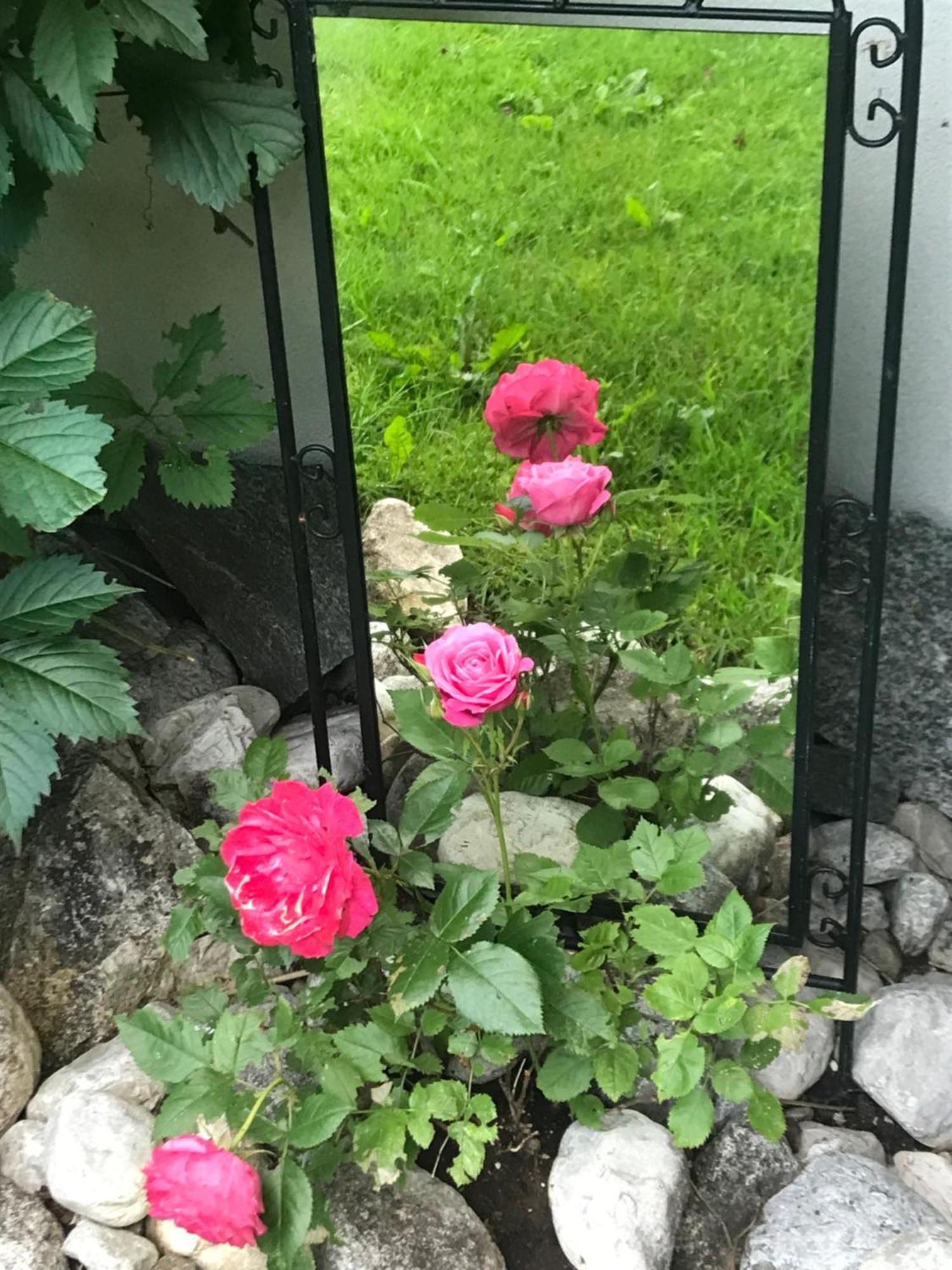 Haus Hoher Sattel Daire Leutasch Dış mekan fotoğraf