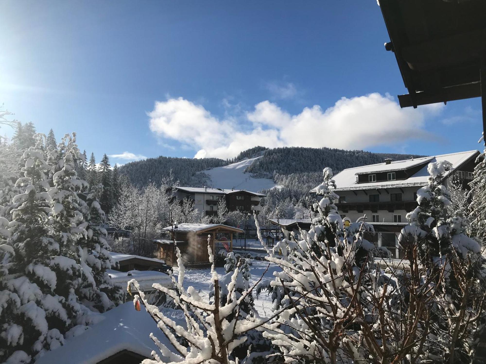 Haus Hoher Sattel Daire Leutasch Dış mekan fotoğraf